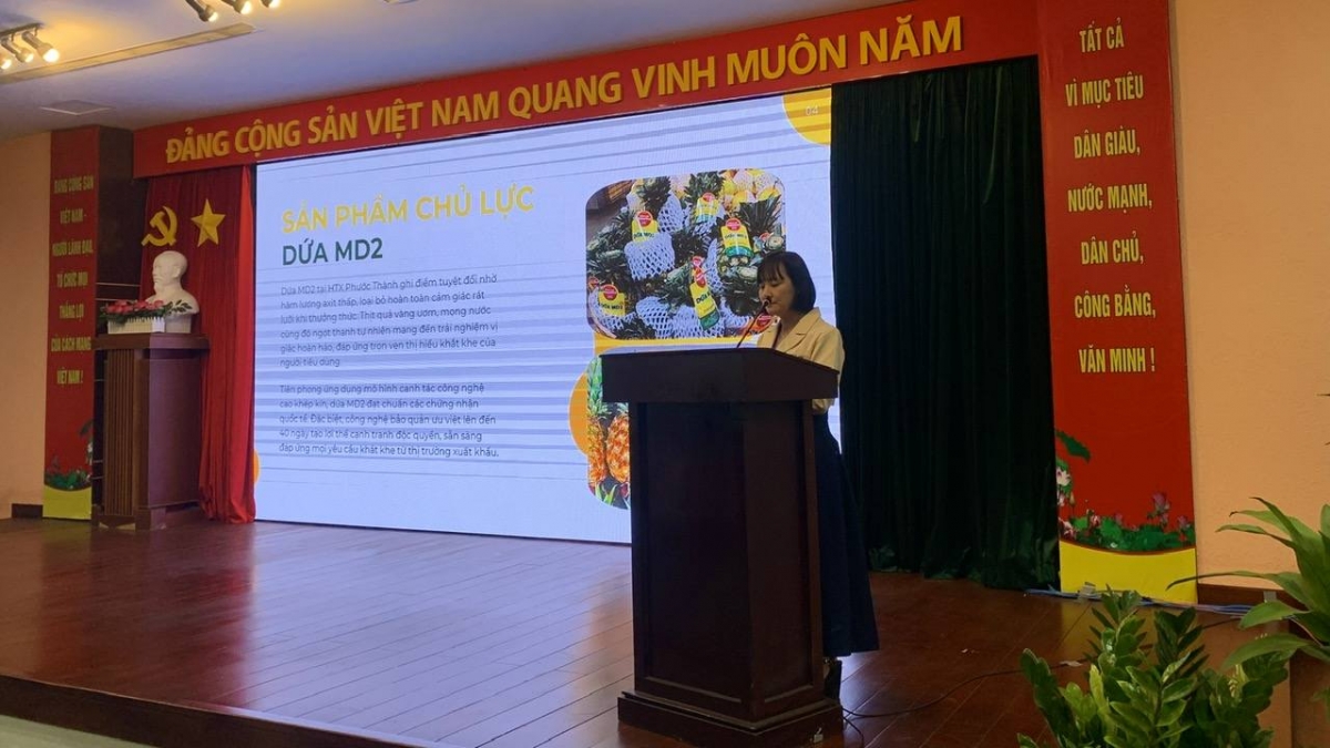 Đại diện HTX Phước Thành và mô hình vùng trồng dứa công nghệ cao
