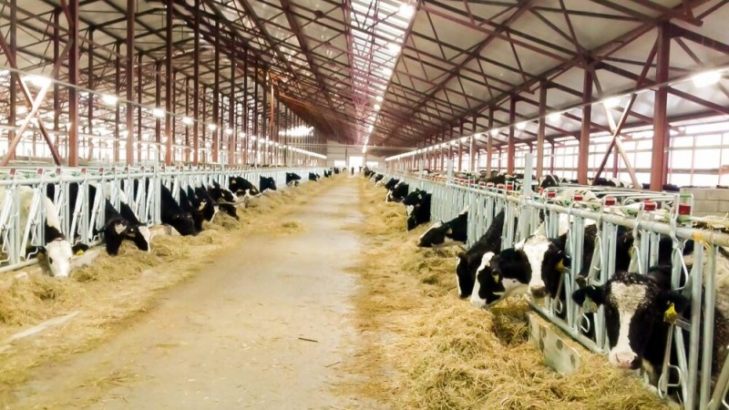 TH true MILK: “Kỳ tích” của công nghệ cao trên miền đất khắc nghiệt
