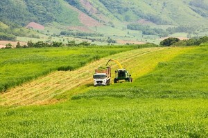 TH true MILK: “Kỳ tích” của công nghệ cao trên miền đất khắc nghiệt