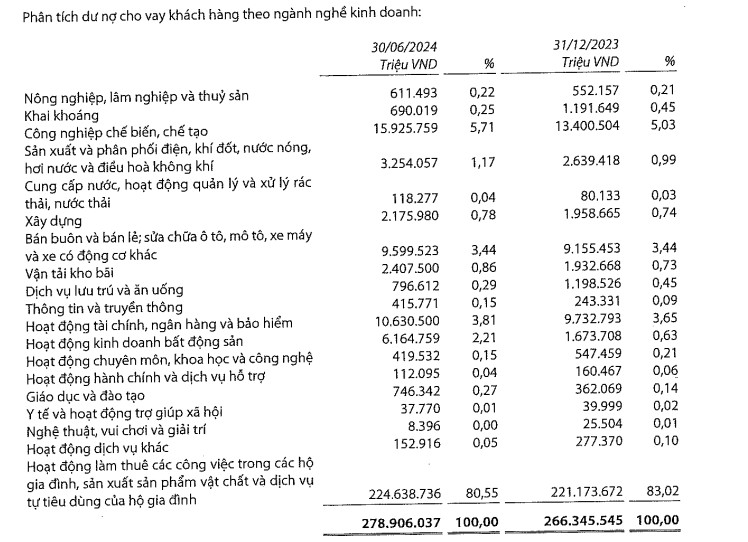 VIB hoạt động kinh doanh ra sao trong 6 tháng đầu năm 2024?