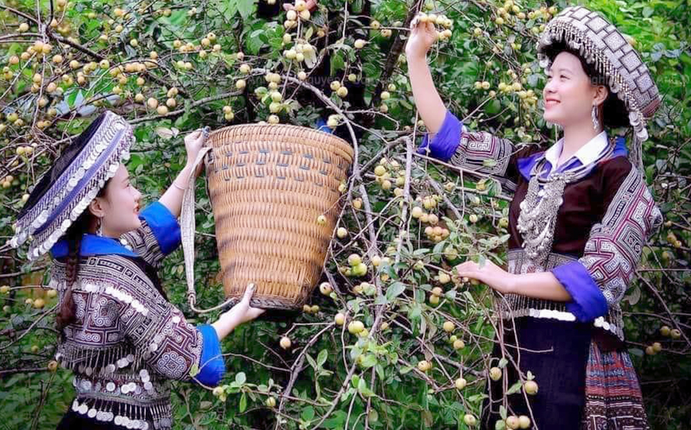 Mù Cang Chải lần đầu tiên tổ chức “Lễ hội Sơn tra”