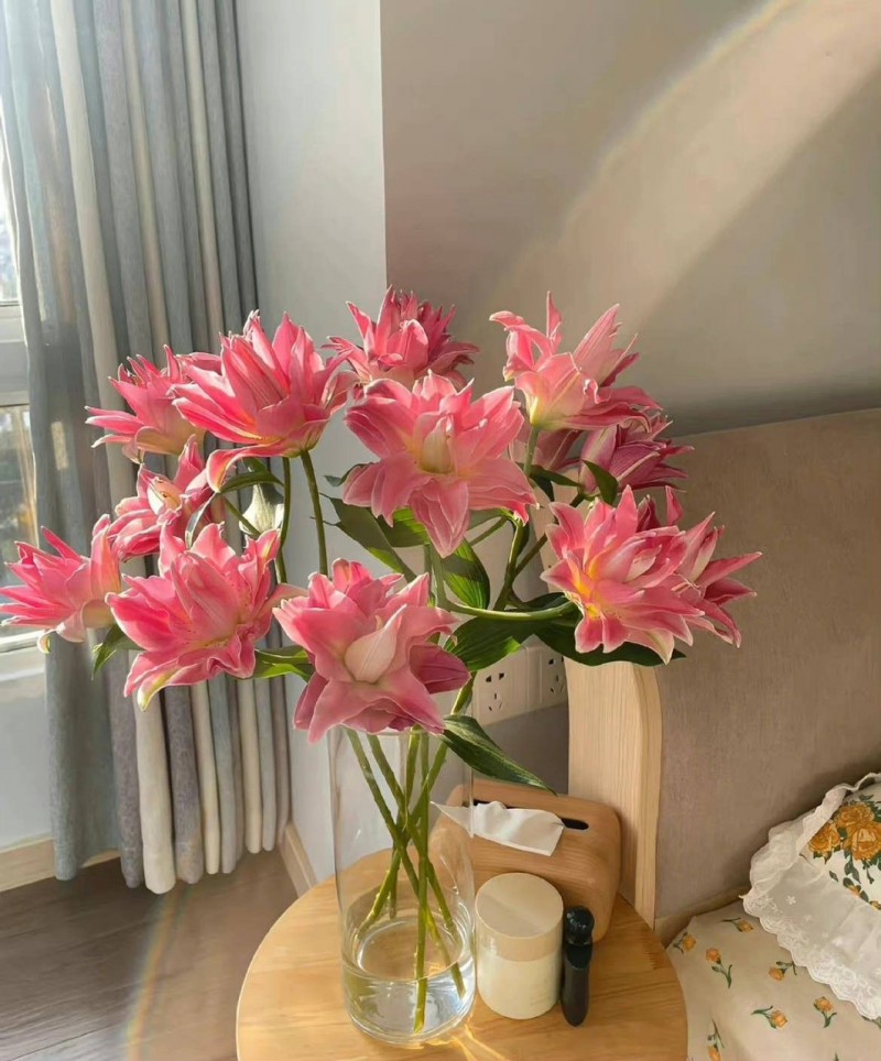 Tử vi vòng quay công nghệ ngày 20/3/2026: Tuổi Mùi nhiều trở ngại, tuổi Thân sự nghiệp vững vàng