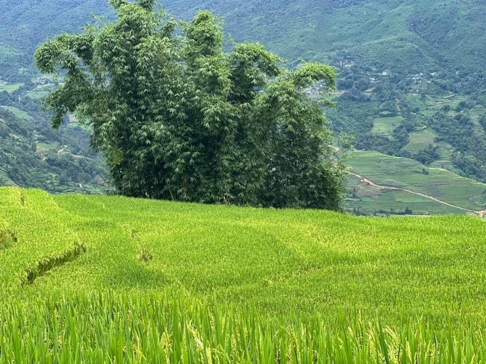Cùng khám phá vẻ đẹp “Y Tý xanh” vào tháng 8