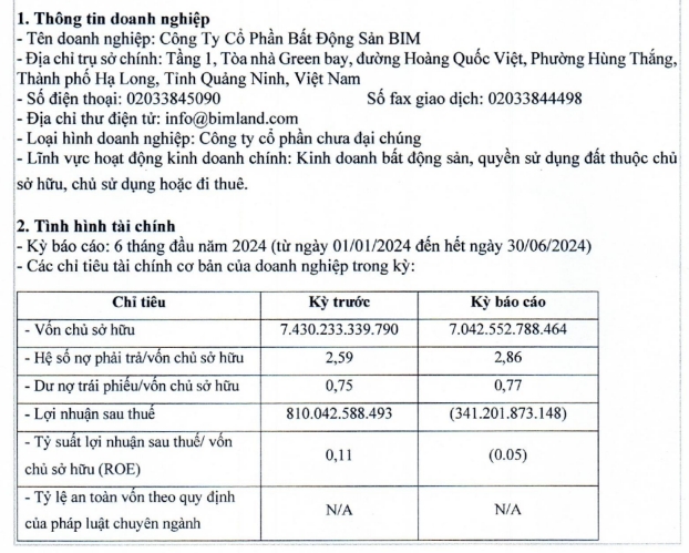 Công ty con của BIM Group lỗ đậm, nợ phải trả chiếm tới 74% nguồn vốn