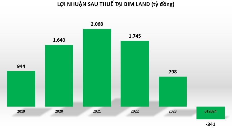 Công ty con của BIM Group lỗ đậm, nợ phải trả chiếm tới 74% nguồn vốn