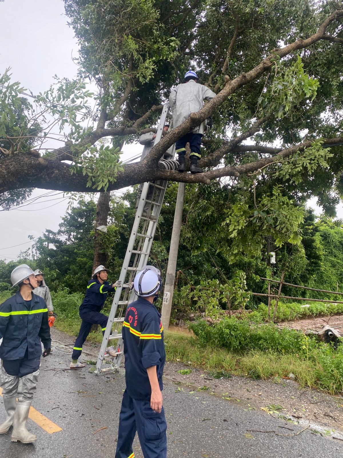 Bí thư thành ủy Hà Nội kiểm tra công tác khắc phục sau bão tại quận Bắc Từ Liêm