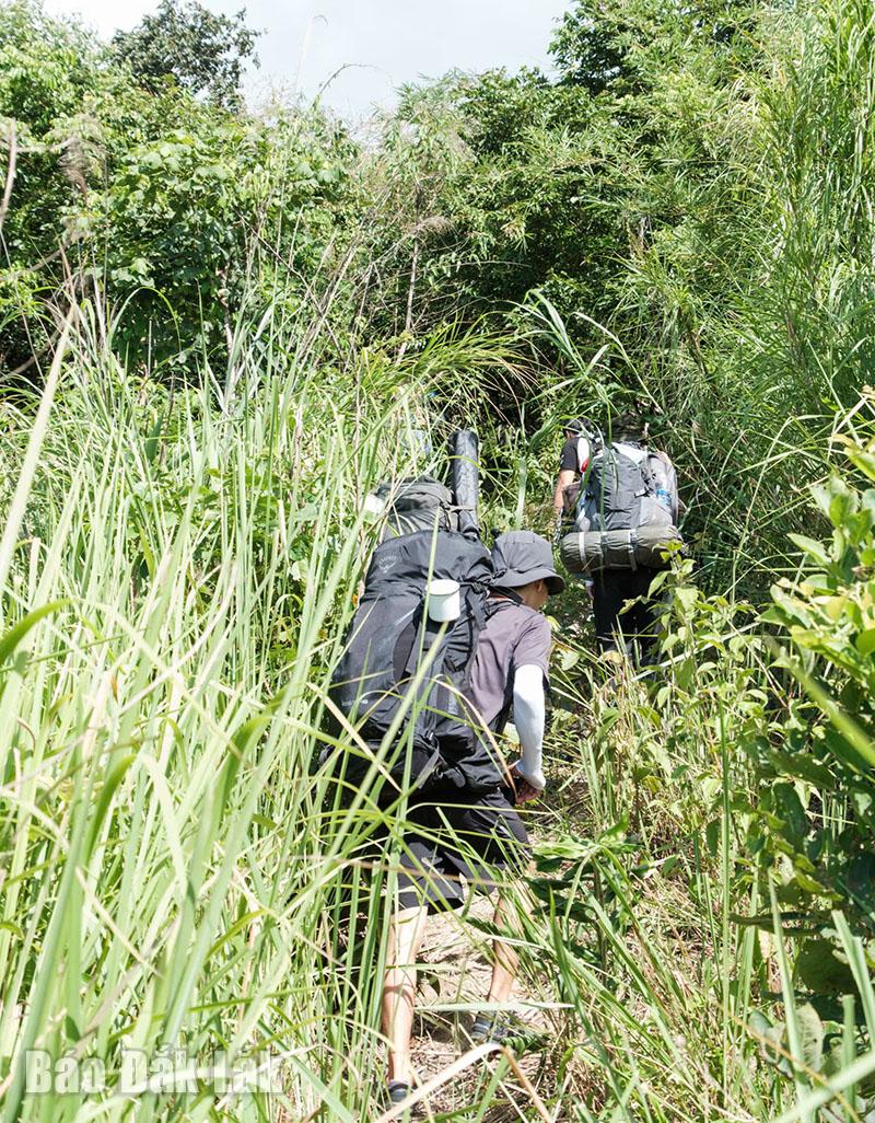 “Thiên đường” thảo nguyên Pal Sol