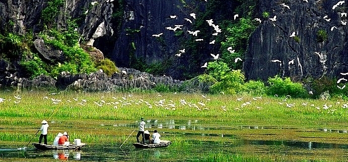 Trung tâm Điều tra, Thông tin và Dữ liệu về môi trường, đa dạng sinh học tuyển dụng viên chức năm 2024