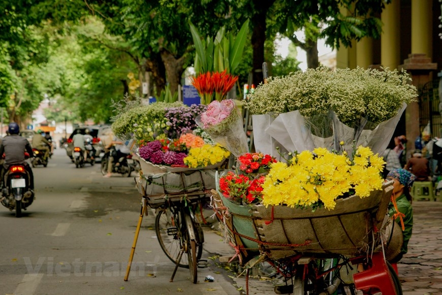 Tử vi vòng quay công nghệ ngày 01/10/2024: Vận trình tuổi Hợi kém sắc, tuổi Thân hao tài