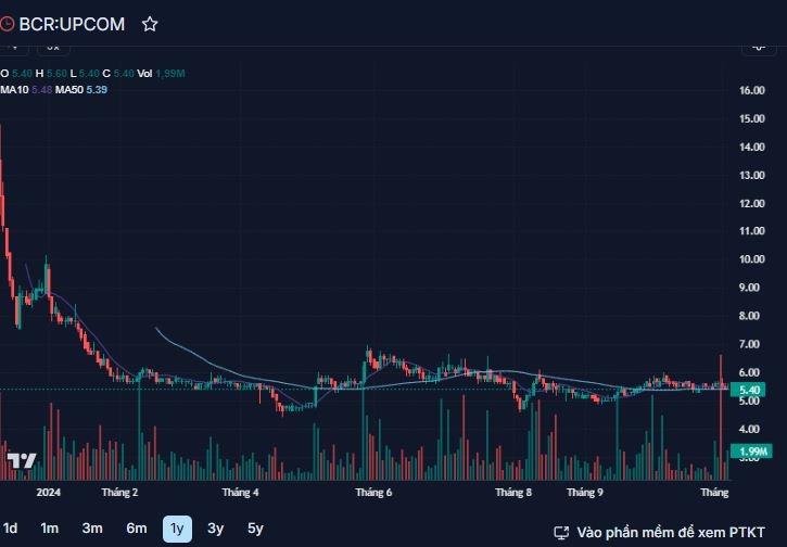 BCG Land kinh doanh ra sao trong 9 tháng đầu năm 2024?