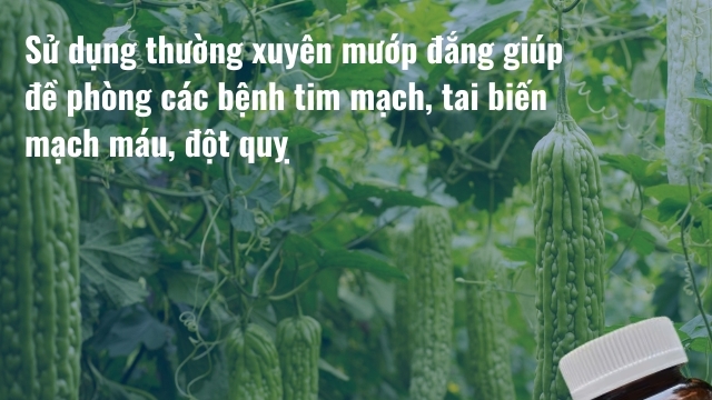 Nguy cơ tiểu đường có thể dẫn đến đột quỵ bất kỳ lúc nào