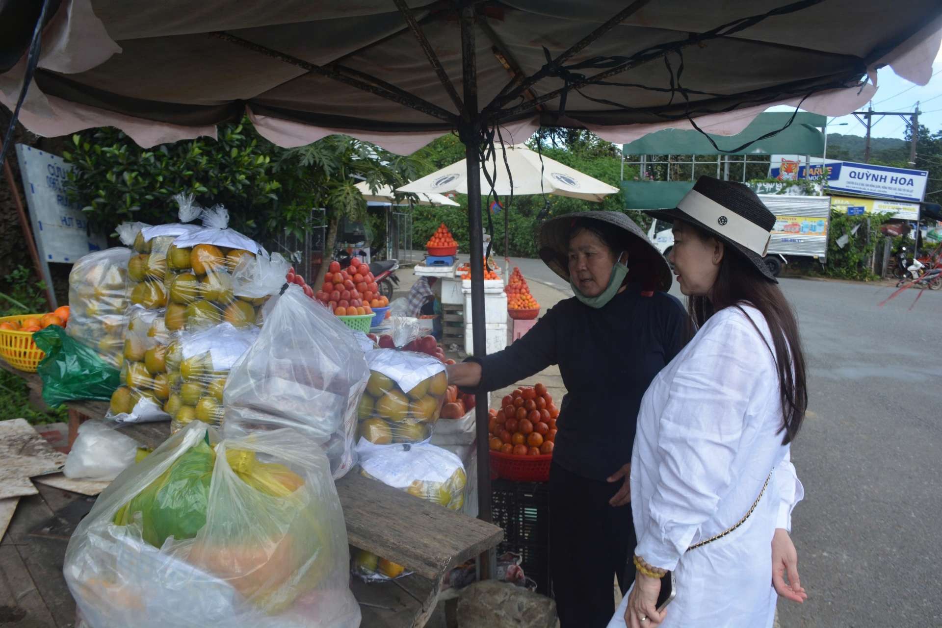 Ngọt ngào mùa hồng cao nguyên