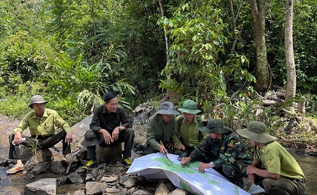 Công nghệ là một trong những yếu tố then chốt để bảo vệ, phát triển rừng bền vững