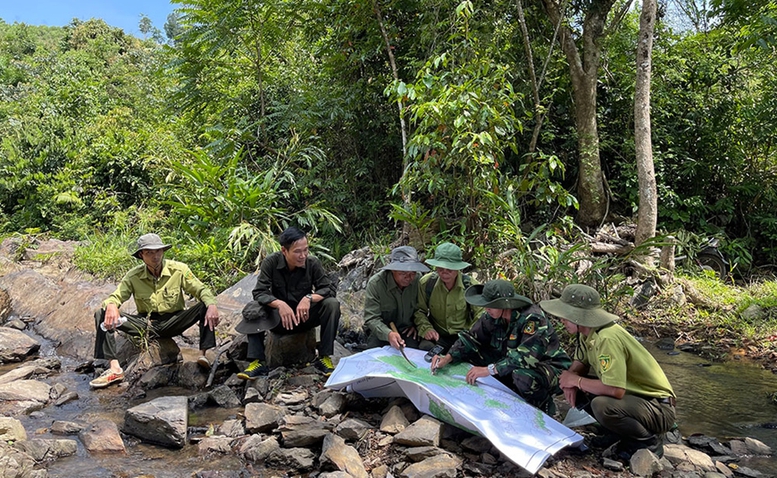 Công nghệ là một trong những yếu tố then chốt để bảo vệ, phát triển rừng bền vững