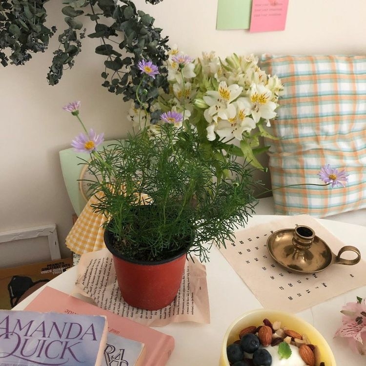 Tử vi vòng quay công nghệ ngày 14/3/2026: Tuổi Thìn tình cảm suôn sẻ, tuổi Mão dễ bị phân tán