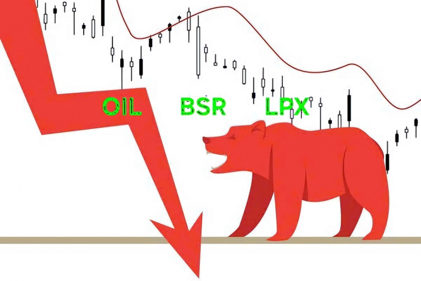 Thị trường chứng khoán ngày 4/12: VN Index giảm sâu, sắc đỏ bao phủ toàn thị trường