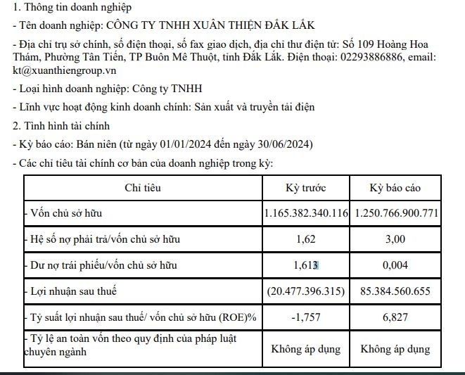 Doanh nghiệp kinh doanh điện mặt trời của Xuân Thiện Group 