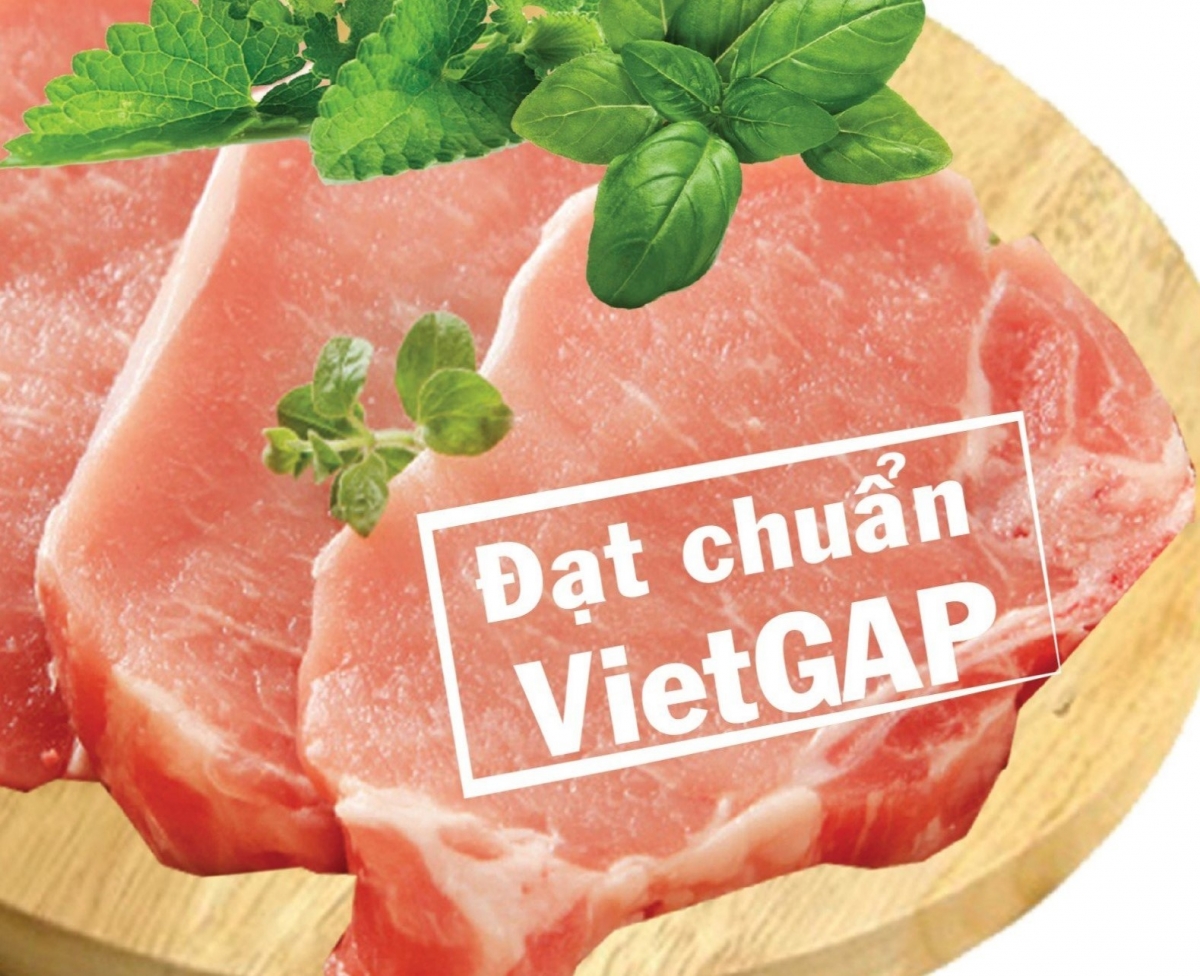 Ngày Xuân nói chuyện thực phẩm sạch và nền nông nghiệp công nghệ cao