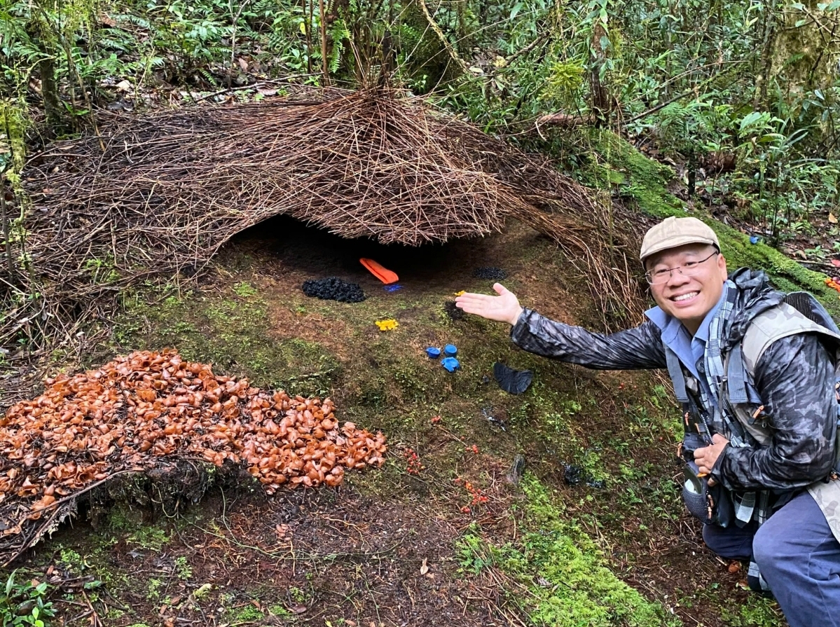 Ký sự ở thiên đường chim hoang dã