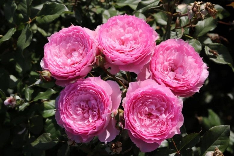 Tử vi hàng ngày - Tử vi 12 con giáp hôm nay ngày 3/2/2025 Tử vi hàng ngày - Tử vi 12 con giáp hôm nay ngày 3/2/2025