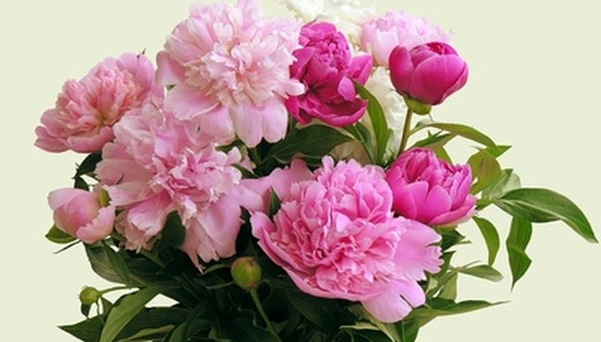 Tử vi vòng quay công nghệ ngày 10/12/2025: Tuổi Thân điềm xui rủi, tuổi Dần kế hoạch hiệu quả