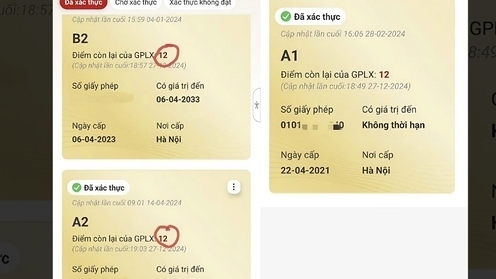 Xuất hiện thủ đoạn lừa đảo cài đặt điểm của giấy phép lái xe