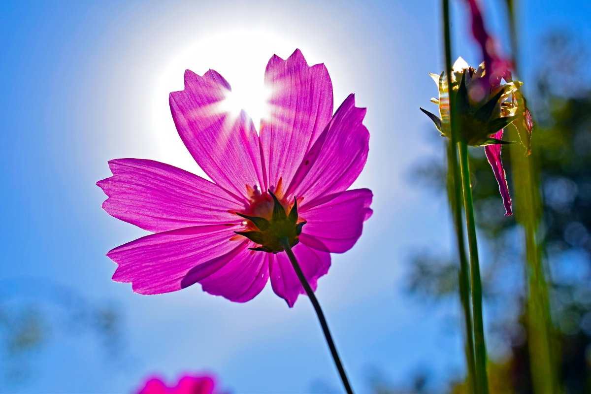 Tử vi vòng quay công nghệ ngày 27/2/2026: Tuổi Mùi dễ phát tài, tuổi Hợi trở nên nóng nảy