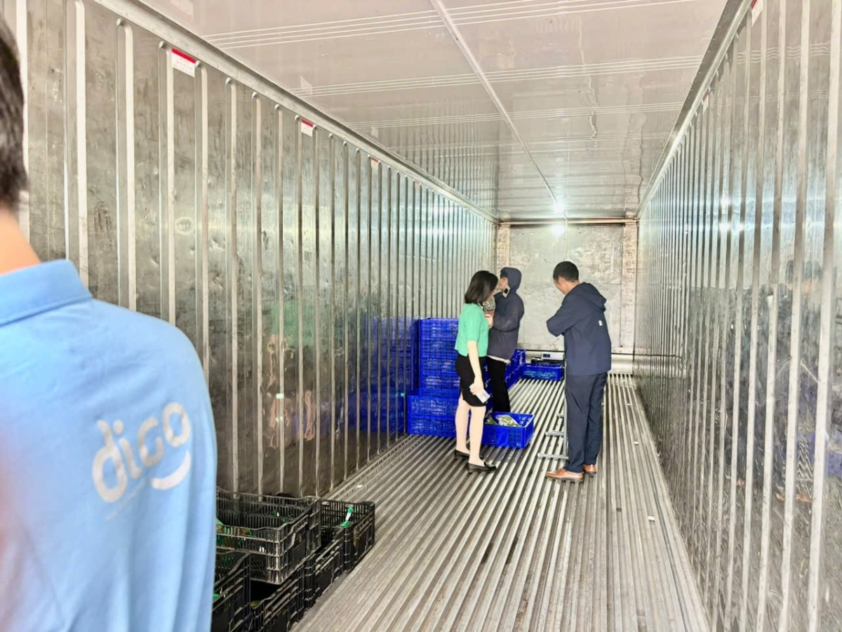 Hiệp hội Logistics Hải Phòng tăng cường hợp tác kết nối