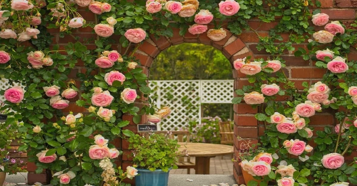 Tử vi vòng quay công nghệ ngày 24/3/2025: Tuổi Dậu vượng cát khí, tuổi Hợi dễ gặp bất lợi Tử vi vòng quay công nghệ ngày 24/3/2025: Tuổi Dậu vượng cát khí, tuổi Hợi dễ gặp bất lợi