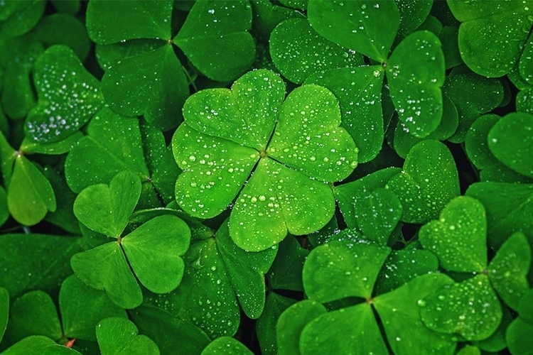 Tử vi vòng quay công nghệ ngày 25/3/2025: Tuổi Tỵ nhiều may mắn, tuổi Mùi gặp sóng gió Tử vi vòng quay công nghệ ngày 25/3/2025: Tuổi Tỵ nhiều may mắn, tuổi Mùi gặp sóng gió