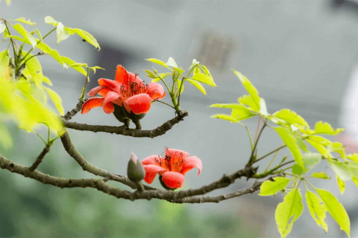 Tử vi vòng quay công nghệ ngày 18/4/2025: Tuổi Tý tài vận hanh thông, tuổi Tuất không suôn sẻ