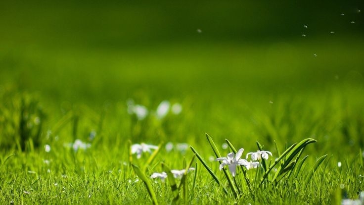 Tử vi vòng quay công nghệ ngày 19/4/2025: Tuổi Tỵ tin vui công việc, tuổi Hợi dễ gặp kẻ xấu
