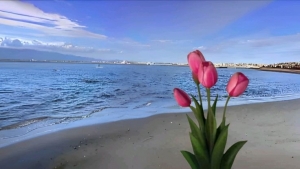 Tử vi vòng quay công nghệ ngày 29/4/2025: Tuổi Hợi tài lộc rủng rỉnh, tuổi Tỵ không may mắn