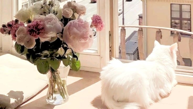 Tử vi vòng quay công nghệ ngày 6/5/2025: Tuổi Hợi không được suôn sẻ, tuổi Thân tín hiệu tích cực Tử vi vòng quay công nghệ ngày 6/5/2025: Tuổi Hợi không được suôn sẻ, tuổi Thân tín hiệu tích cực