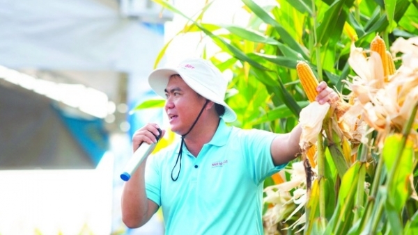 Ứng dụng công nghệ sinh học thúc đẩy khoa học chọn tạo giống