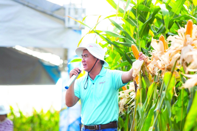 Ứng dụng công nghệ sinh học thúc đẩy khoa học chọn tạo giống