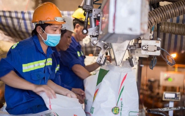 Phân bón Dầu khí Cà Mau (PVCFC) - Khẳng định thương hiệu Việt với thị trường quốc tế