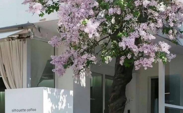Tử vi vòng quay công nghệ ngày 19/5/2025: Tuổi Thân gặp vất vả, tuổi Tý suôn sẻ
