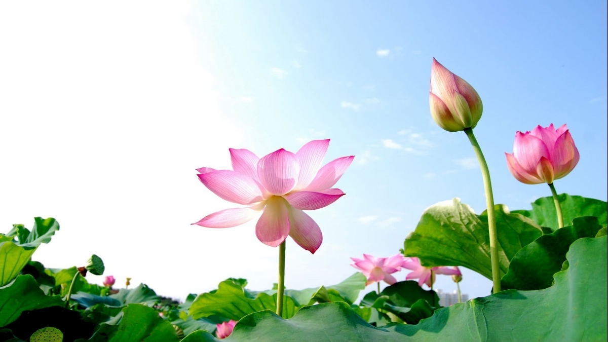 Tử vi vòng quay công nghệ ngày 21/5/2025: Tuổi Tý bùng nổ cơ hội, Tuổi Ngọ cẩn trọng để bình yên