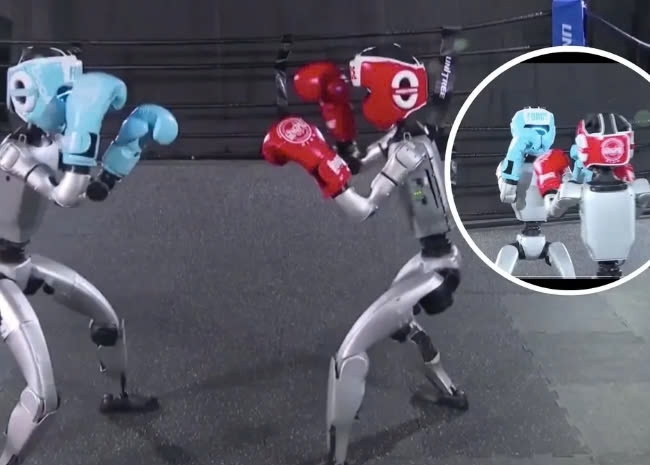 Robot hình người trình diễn kỹ năng đấu quyền anh hung hăng như võ sĩ thực