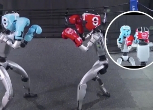 Robot hình người trình diễn kỹ năng đấu quyền anh hung hăng như võ sĩ thực