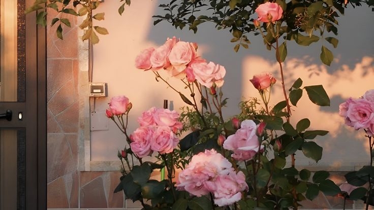 Tử vi vòng quay công nghệ ngày 9/12/2025: Tuổi Thân dễ gặp rắc rối, tuổi Tý phát triển thuận lợi