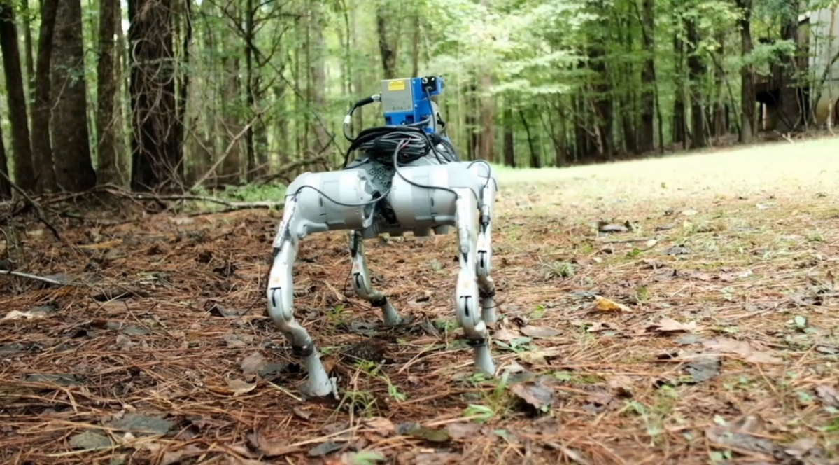 Công nghệ mới giúp robot bước đi như con người giữa rừng rậm