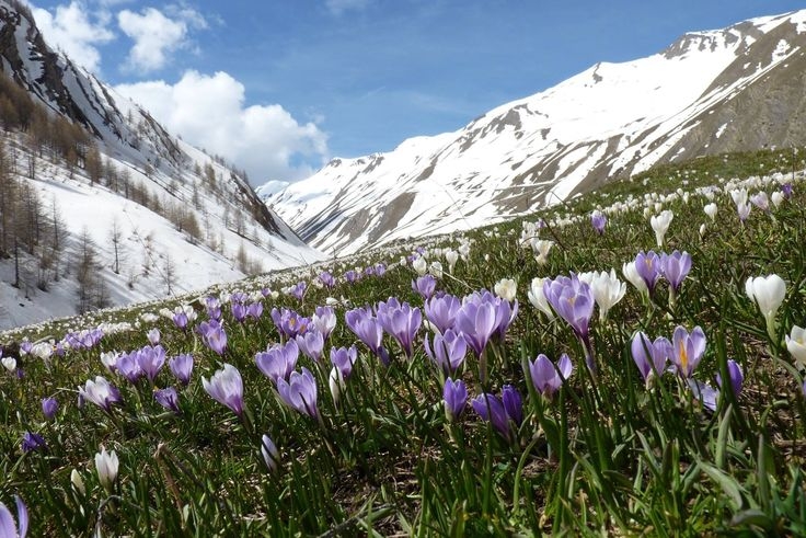 Tử vi vòng quay công nghệ ngày 6/1/2026: Tuổi Dần hanh thuận, tuổi Tý vất vả