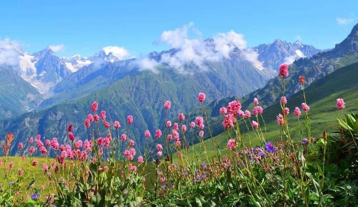 Tử vi vòng quay công nghệ ngày 6/1/2026: Tuổi Dần hanh thuận, tuổi Tý vất vả