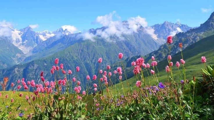 Tử vi vòng quay công nghệ ngày 6/1/2026: Tuổi Dần hanh thuận, tuổi Tý vất vả