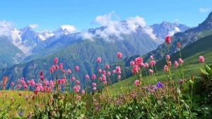 Tử vi vòng quay công nghệ ngày 6/1/2026: Tuổi Dần hanh thuận, tuổi Tý vất vả