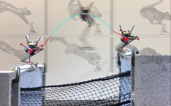 Robot Salto học cách nhảy như sóc: Bước tiến mới trong robot di chuyển linh hoạt