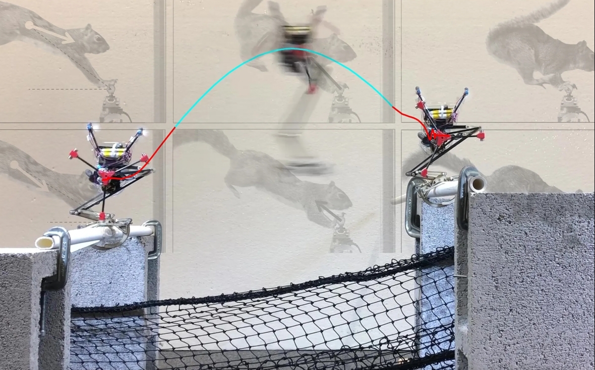 Robot Salto học cách nhảy như sóc: Bước tiến mới trong robot di chuyển linh hoạt