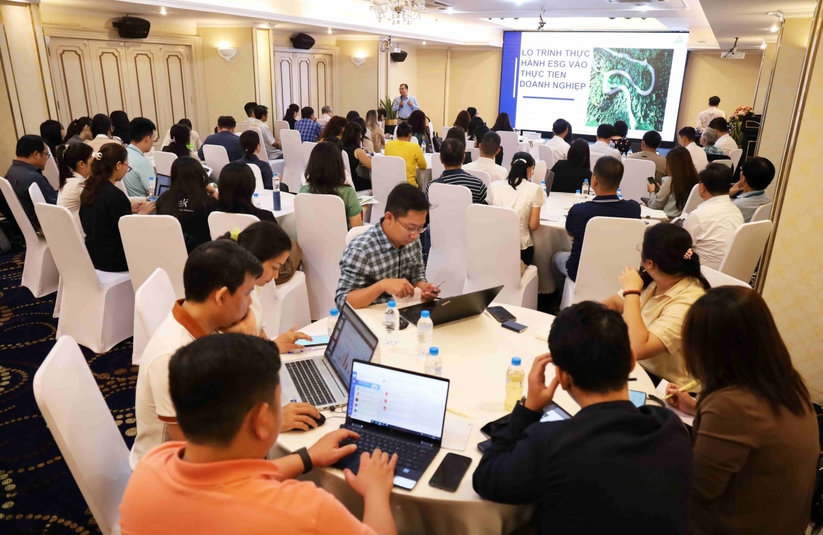 Tiêu chuẩn đánh giá ESG: Cơ hội tiếp cận nguồn vốn xanh cho doanh nghiệp